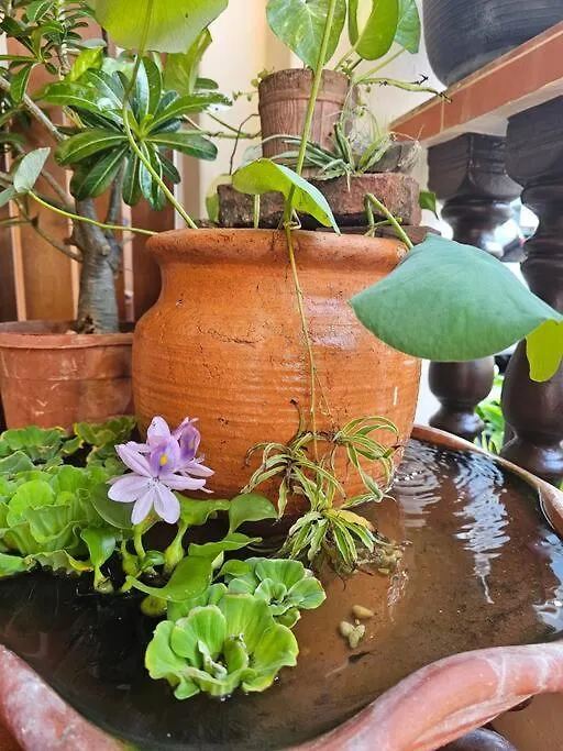 Home Penang George Town Prázdninový dům